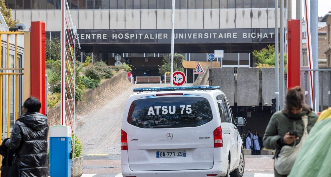 Francia confirma el primer caso humano de virus Shamonda: un hombre inmunodeprimido falleció en Lyon