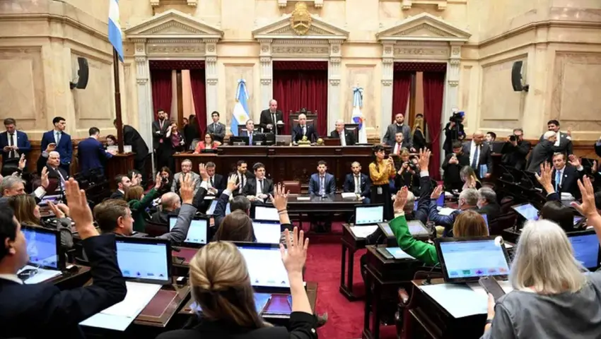 Salud Mental: el Senado aprobó la reforma con internaciones involuntarias, ahora pasa a Diputados